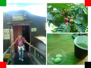 Atherton Coffee Collage