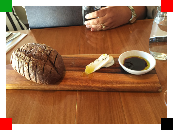 MYG_Review_Catbird02