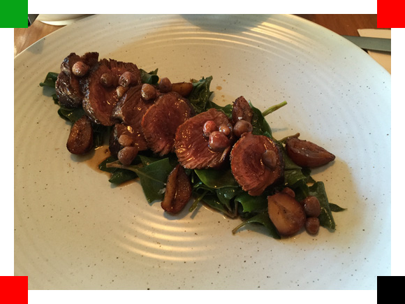 MYG_Review_Catbird05