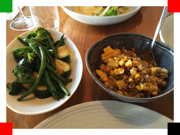 MYG_Review_Catbird06