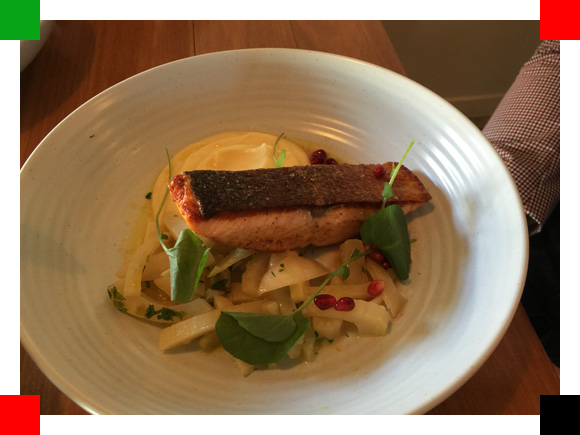 MYG_Review_Catbird08